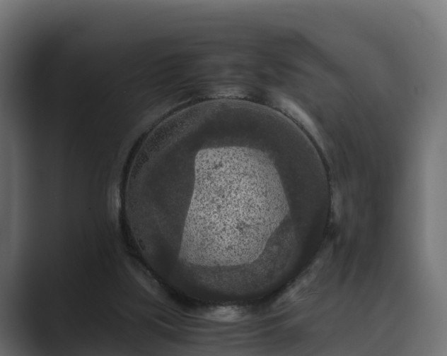 X0000089670059200706281347