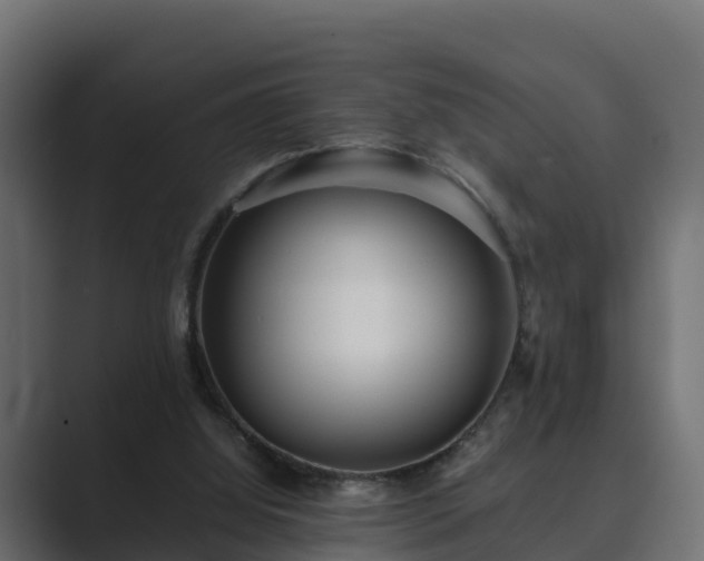 X0000089670060200706281347