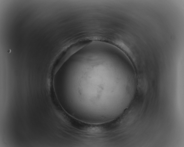 X0000089670063200706281347