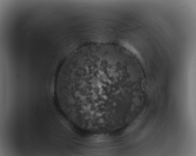 X0000089670065200706281347