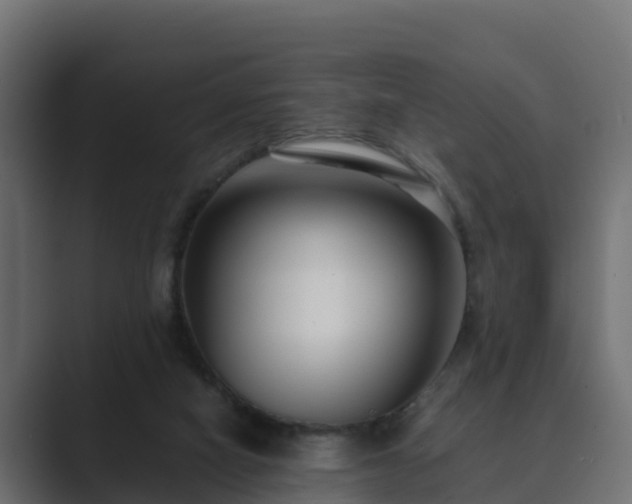 X0000089670066200706281347