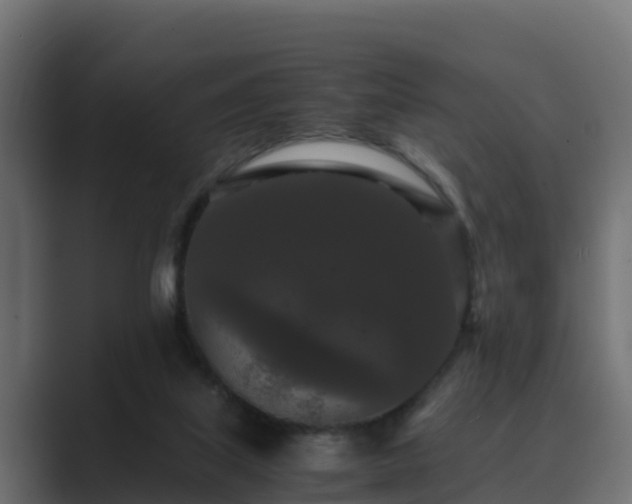 X0000089670067200706281347