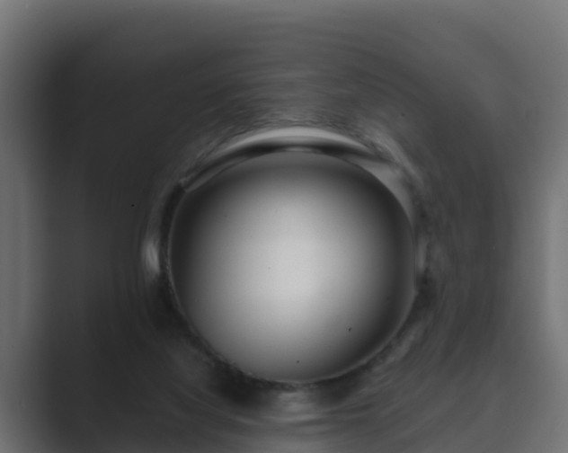 X0000089670068200706281347