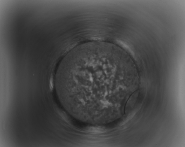 X0000089670069200706281347
