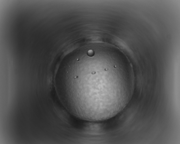 X0000089670073200706281347