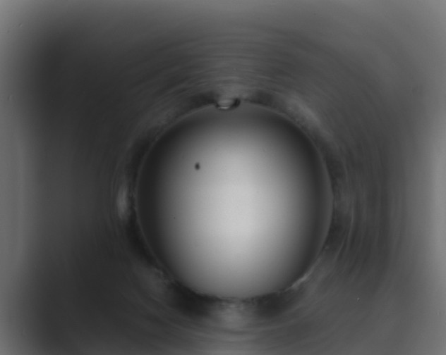 X0000089670074200706281347