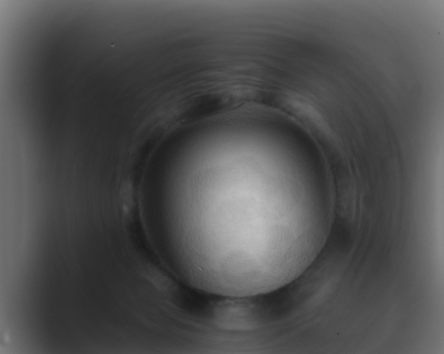 X0000089670077200706281347