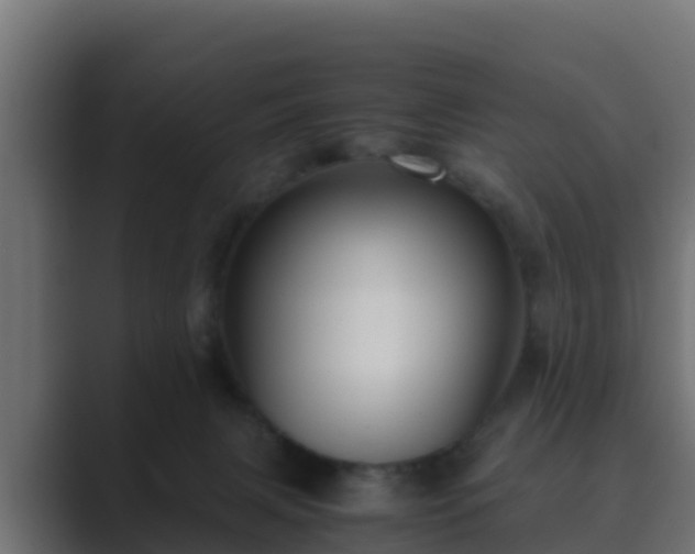 X0000089670079200706281347