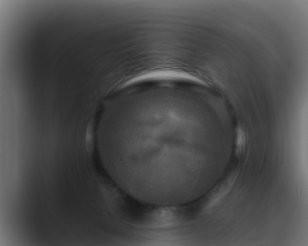 X0000089670080200706281347
