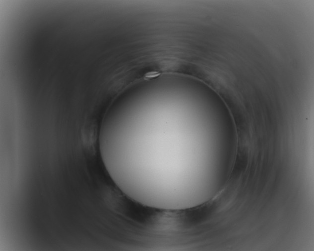 X0000089670082200706281347