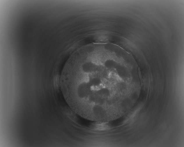 X0000089670093200706281347