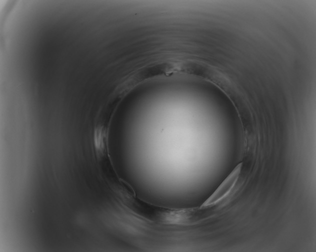 X0000089670094200706281347