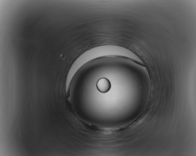 X0000089670096200706281347