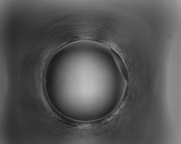 X0000089670097200706281347