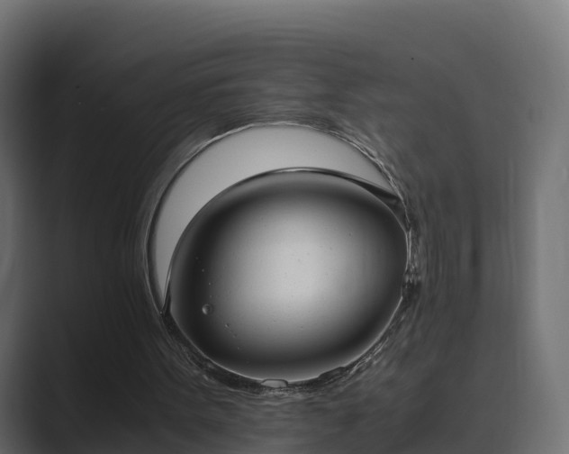 X0000089670099200706281347