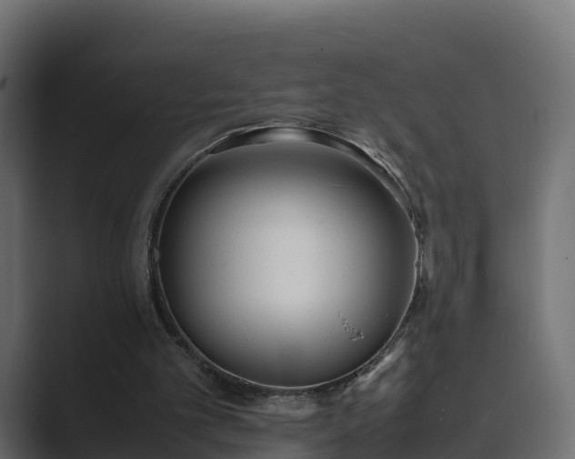 X0000089670101200706281347
