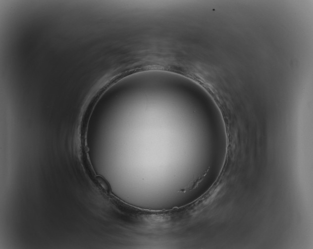 X0000089670102200706281347