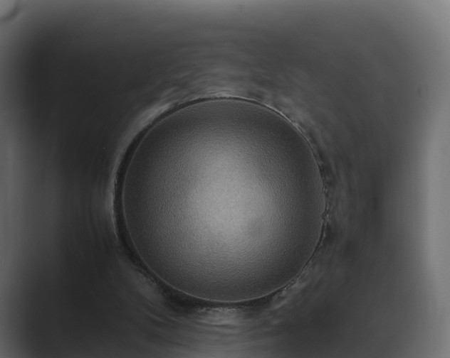 X0000089670104200706281346