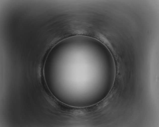 X0000089670106200706281346