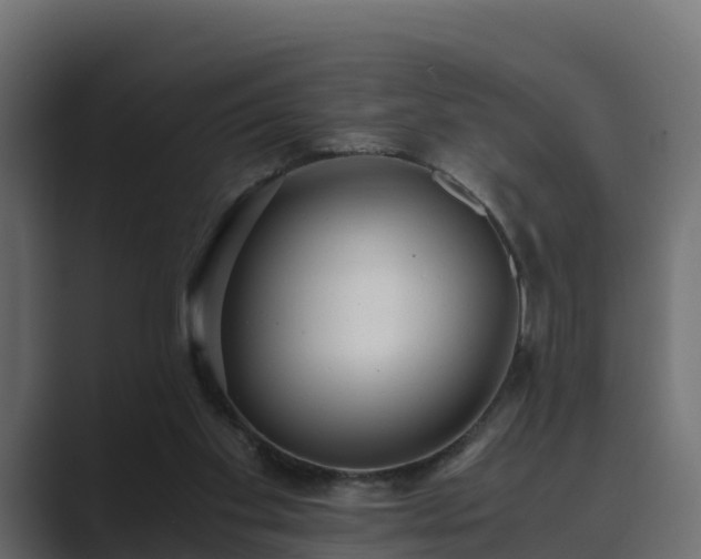 X0000089670109200706281346