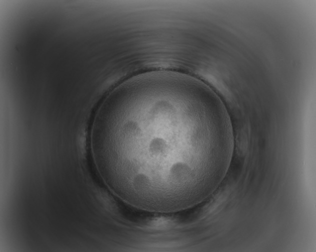 X0000089670111200706281346