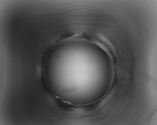 X0000089670113200706281346