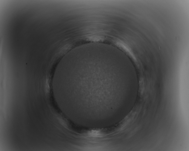 X0000089670114200706281346