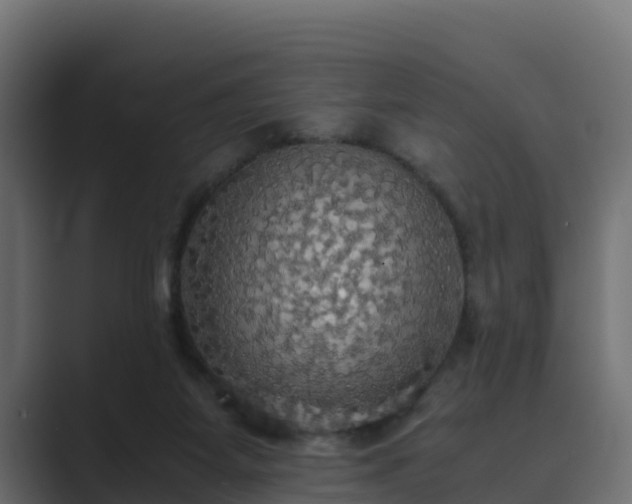 X0000089670115200706281346