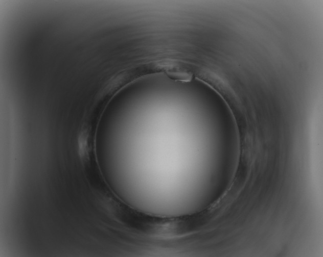 X0000089670116200706281346
