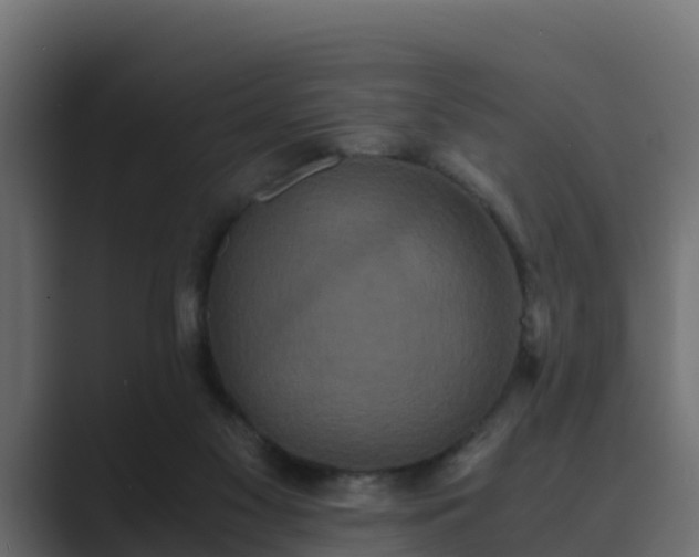 X0000089670117200706281346