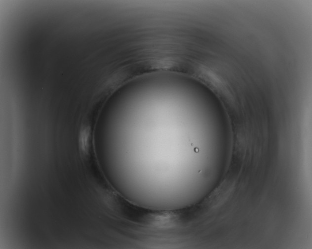 X0000089670118200706281346