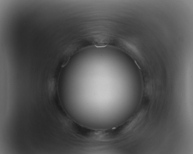 X0000089670121200706281346