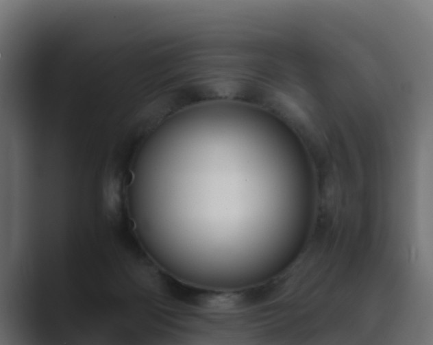 X0000089670122200706281346