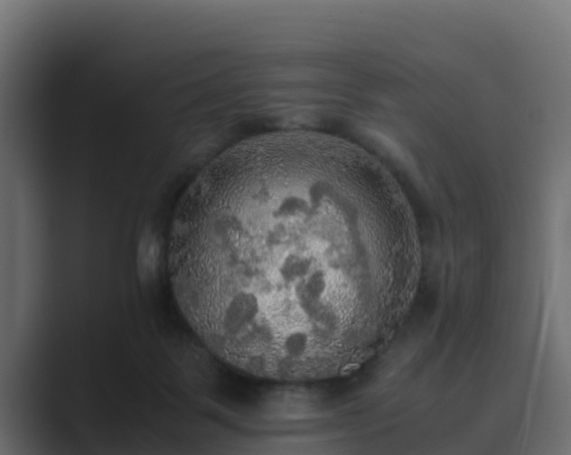 X0000089670123200706281346