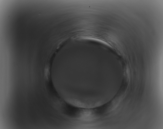 X0000089670127200706281346