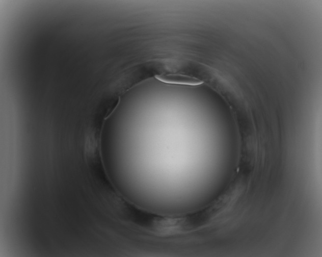 X0000089670129200706281346