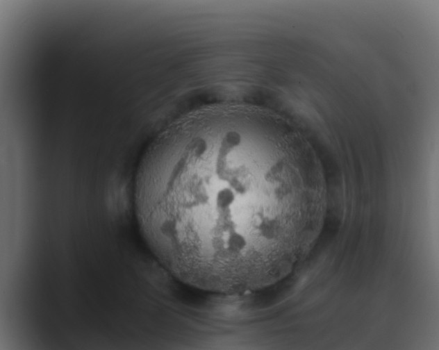 X0000089670131200706281346