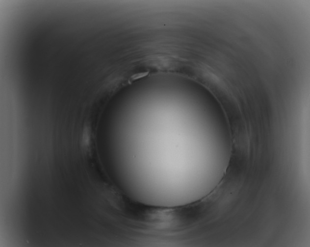 X0000089670132200706281346