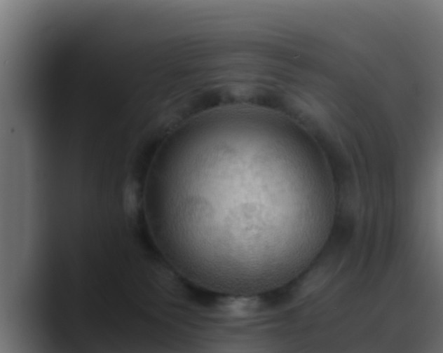 X0000089670135200706281346