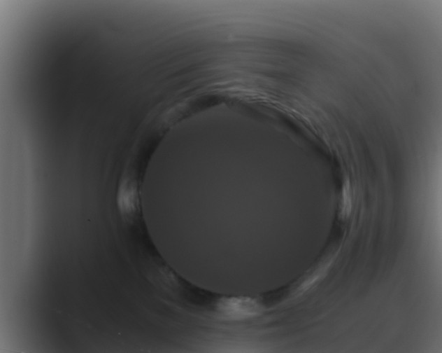 X0000089670137200706281346