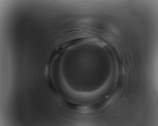 X0000089670139200706281346