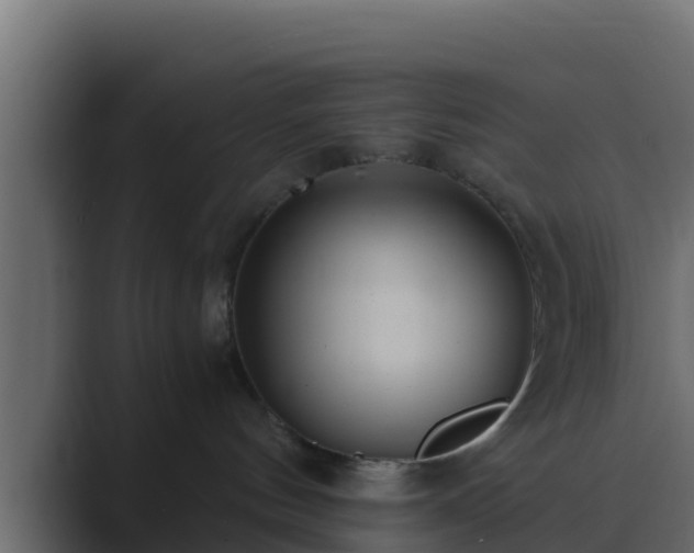X0000089670144200706281346