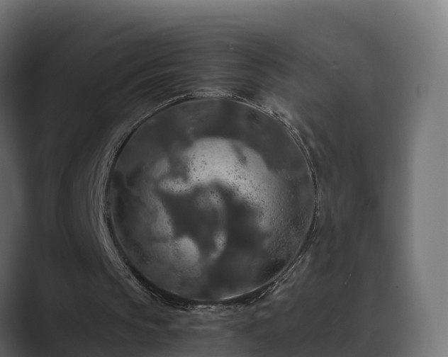 X0000089670145200706281345