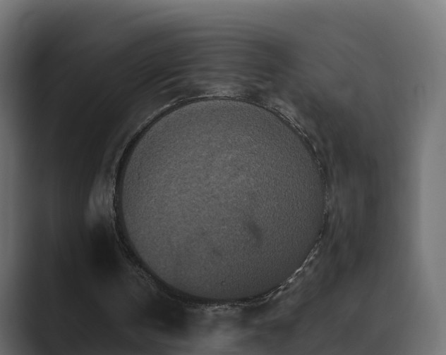 X0000089670146200706281345