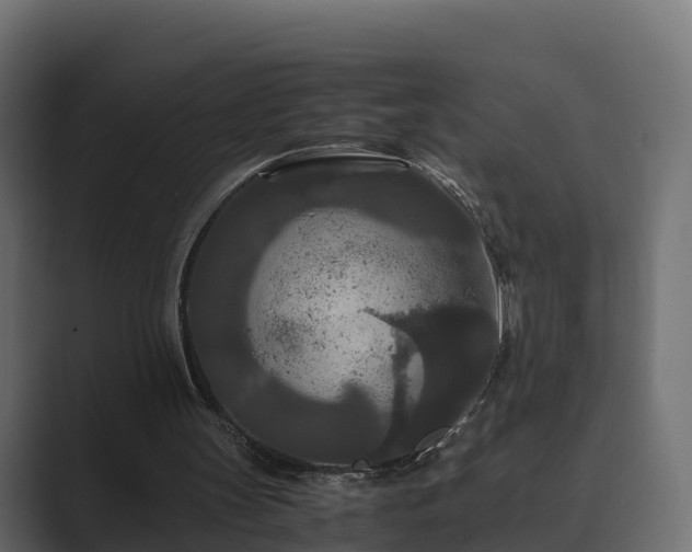 X0000089670147200706281346