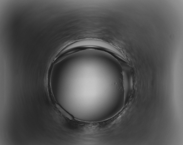X0000089670148200706281346