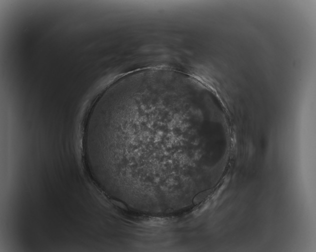 X0000089670149200706281346