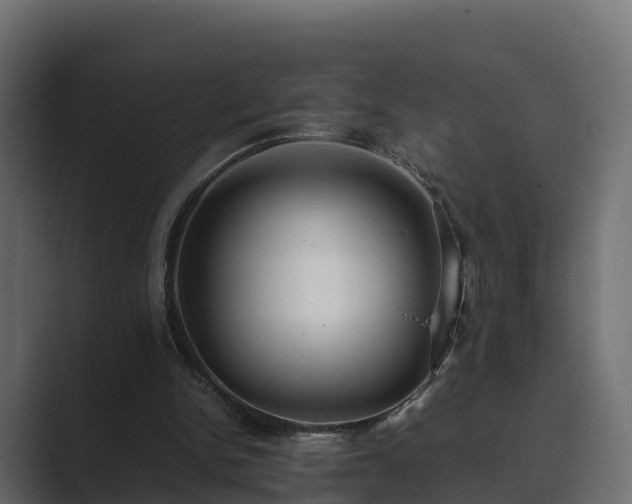 X0000089670150200706281346