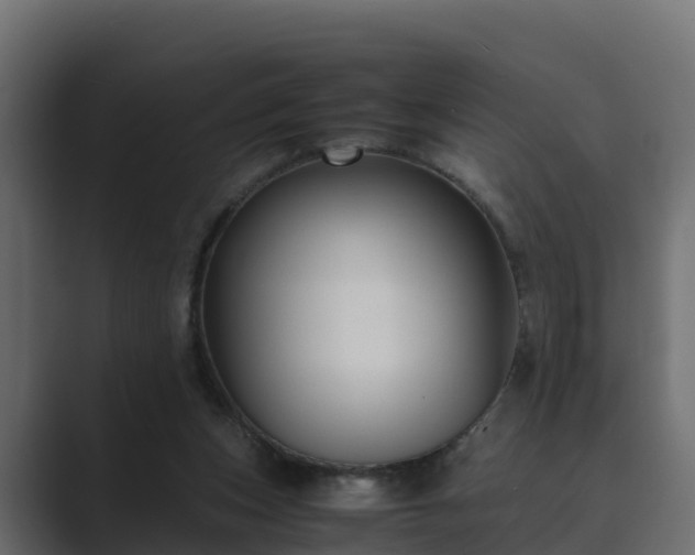 X0000089670159200706281346