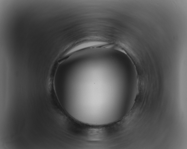 X0000089670160200706281346